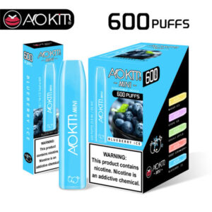 Aokit MINI 2 Version 600 Puffs Disposable Vape Wholesale Blueberry Ice