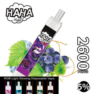Haha Glow Stick 2600 Puffs Disposable Vape Wholesale Grape Ice