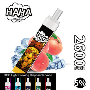 Haha Glow Stick 2600 Puffs Disposable Vape Wholesale Peach Ice