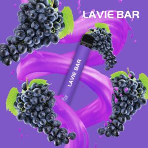 Lavie Bar 2 Version 800 Puffs Disposable Vape Wholesale 4