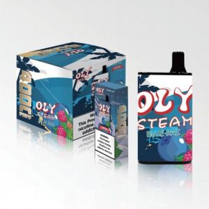 Oly Steam 4000 Puffs Disposable Vape BLUE RAZZ