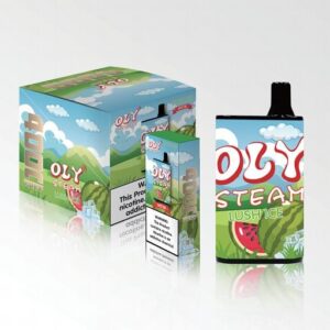 Oly Steam 4000 Puffs Disposable Vape LUSH ICE
