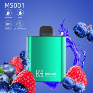 Myshine MS001 Vinbox 4000 Puffs Disposable Vape Wholesale Blue Razz Ice Good Flavors