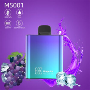 Myshine MS001 Vinbox 4000 Puffs Disposable Vape Wholesale Grape Ice Flavors