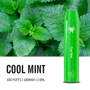 Viciousant 600 Puffs Disposable Vape Wholesale Cool Mint