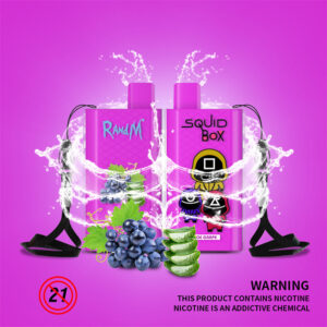 RandM Squid Box 5200 Puffs Disposable Vape Wholesale Aloe Grape