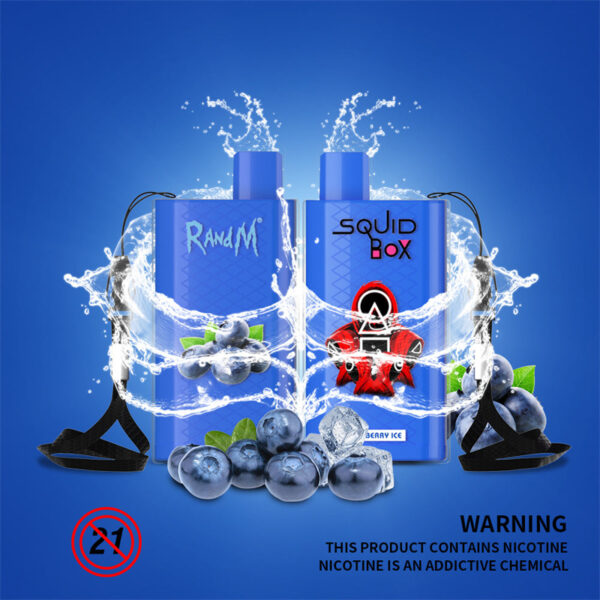 RandM Squid Box 5200 Puffs Disposable Vape Wholesale Blueberry Ice