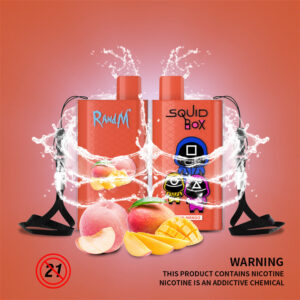 RandM Squid Box 5200 Puffs Disposable Vape Wholesale Peach Mango