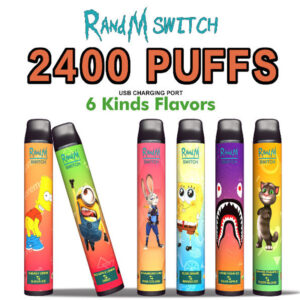 RandM Switch R And M 2in1 2400 Puffs Disposable Vape Wholesale Flavors