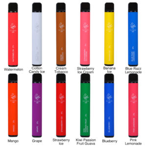 ELF Bar 600 Puffs Disposable Vape Wholesale All Flavors