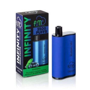Fume Infinity 3500 Puffs Disposable Vape Wholesale Blueberry Mint
