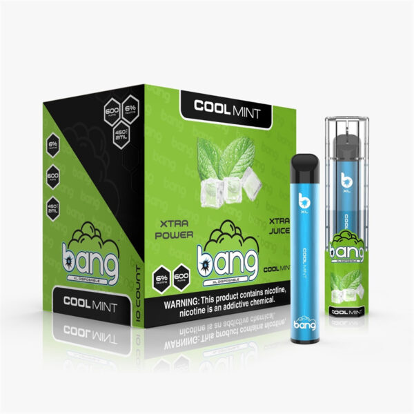 Bang XL 600 Puffs Disposable Vape Wholesale Cool Mint Flavors