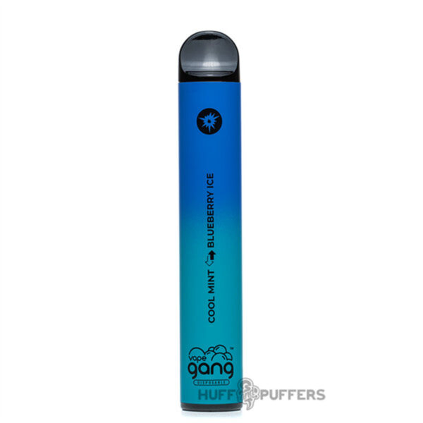 Bang XXL Switch Duo 2500 Puffs Disposable Vape Wholesale Cool Mint Blueberry Ice