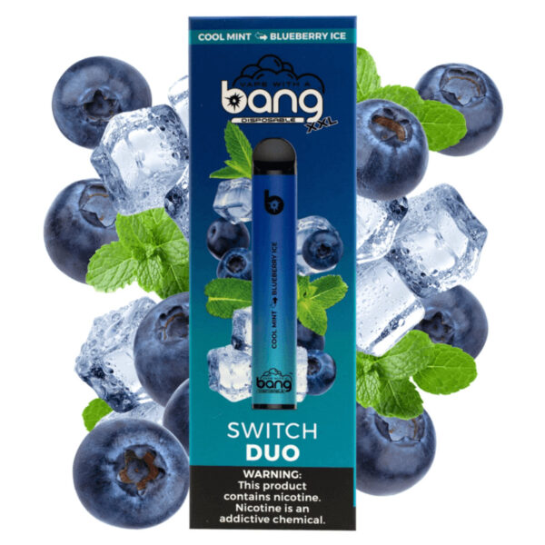 Bang XXL Switch Duo 2500 Puffs Disposable Vape Wholesale Cool Mint Blueberry Ice Flavors
