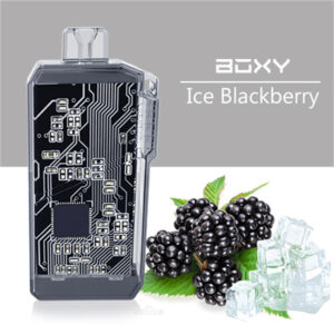 Boxy 2000 Puffs Disposable Vape Wholesale Ice Blackberry