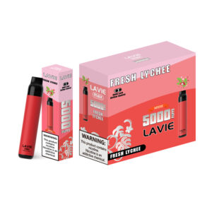LAVIE MAX 5000 Puffs Disposable Vape Wholesale Fresh Lychee Pakage
