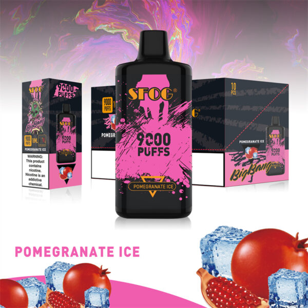 SFOG BIG BANG 9000 Puffs Disposable Vape Wholesale Pomegranate Ice