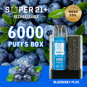 Super21 6000 Puffs Disposable Vape Wholesale Blueberry Plus
