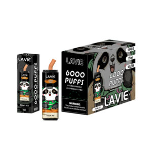 LAVIE 6000 Puffs Disposable Vape Wholesale Cola Ice Pakage