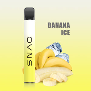 OVNS L 500 Puffs Disposable Vape Wholesale Banana Ice