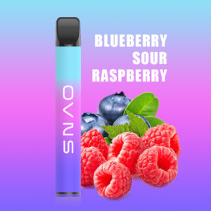 OVNS L 500 Puffs Disposable Vape Wholesale Blueberry Sour Raspberry