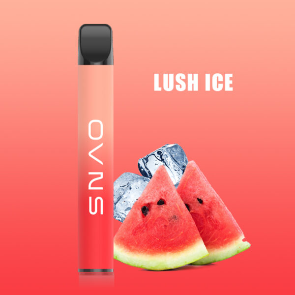 OVNS L 500 Puffs Disposable Vape Wholesale Lush Ice