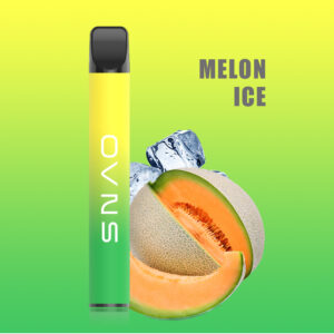 OVNS L 500 Puffs Disposable Vape Wholesale Melon Ice