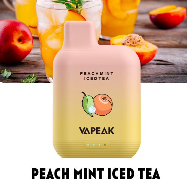 VAPEAK GRAND 5000 Puffs Disposable Vape Wholesale Peach Mint Iced Tea
