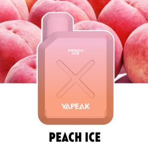 VAPEAK VISION 500 Puffs Disposable Vape Wholesale Peach Ice