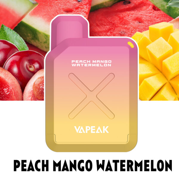 VAPEAK VISION 500 Puffs Disposable Vape Wholesale Peach Mango Watermelon