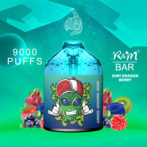 RM BAR 9000 Puffs Disposable Vape Wholesale Kiwi Dragon Berry