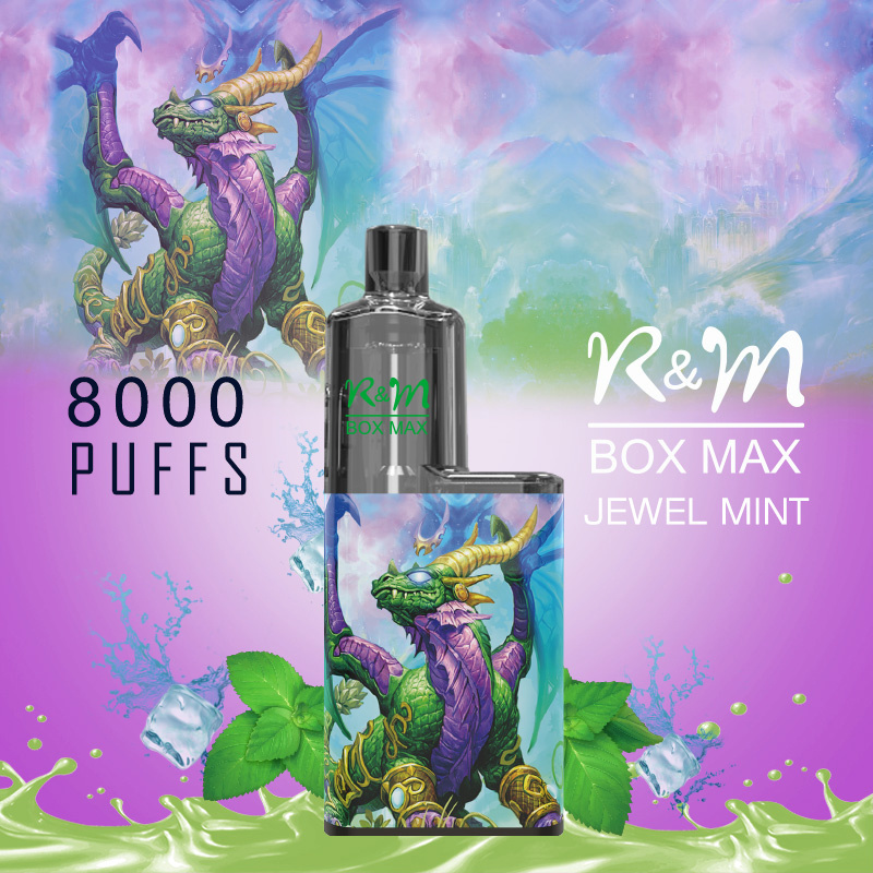 Randm Box Max 8000 Puffs Wholesale Disposable Vape Pen Hot Sale E