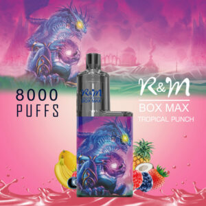 Randm Box Max 8000 Puffs Wholesale Disposable Vape Pen Hot Sale E