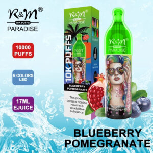 RM PARADISE 10K Puffs Disposable Vape Wholesale Blueberry Pomegranate