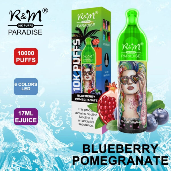 RM PARADISE 10K Puffs Disposable Vape Wholesale Blueberry Pomegranate