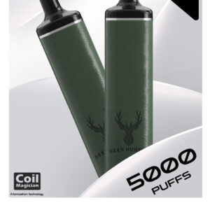 PILOT Elk Max 5000 Puffs Disposable Vape Wholesale Watermelon Lemon Candy