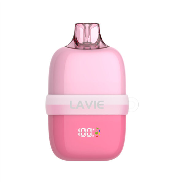 LAVIE INSIDER 12000 Puffs Disposable Vape Wholesale Strawberry Watermelon