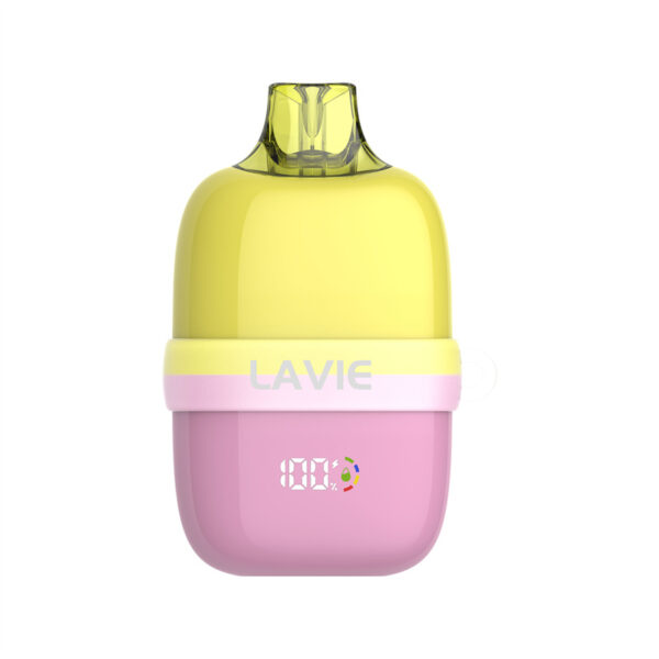 LAVIE INSIDER 12000 Puffs Disposable Vape Wholesale Watermelon Ice