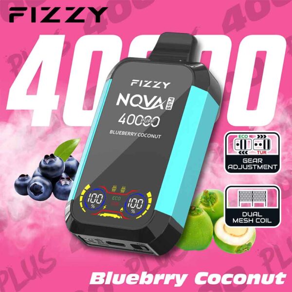 Fizzy 40K puff Nova Plus Dual Mesh Disposable Vape Whosesale blueberry coconut