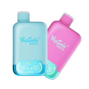 VapSolo Twins 20000 Puffs Dual Flavors Disposable Vape Wholesale