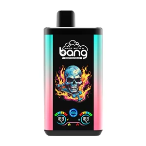 Bang Box 30000 PRO 30k puffs Dual Flavour watermelon blueberry mint