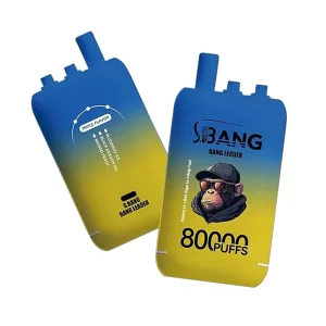 Bang Leader 80K Puffs 3 in 1 Triple Flavors Disposable Vape 1