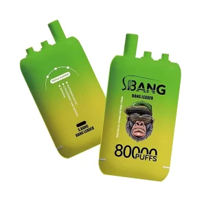 Bang Leader 80K Puffs 3 in 1 Triple Flavors Disposable Vape 11