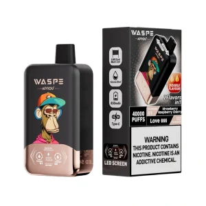 Waspe Aiviou 40000 Puffs Double Flavor Disposable Vape Strawberry Raspberry Cherry Love 666