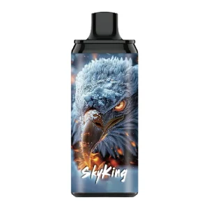 LAVIE SKYKING 40000 PUFFS Blueberry Ice