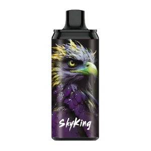 LAVIE SKYKING 40000 PUFFS Raspberry Watermelon